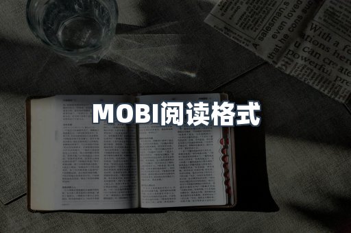 MOBI阅读格式